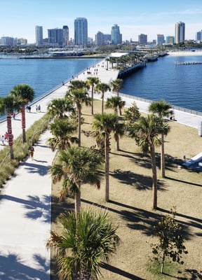 St. Petersburg pier walkway with palms and skyline