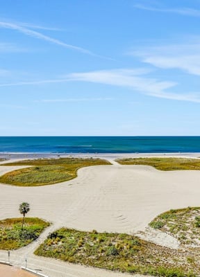 Palm-lined path to the beach at Treasure Island