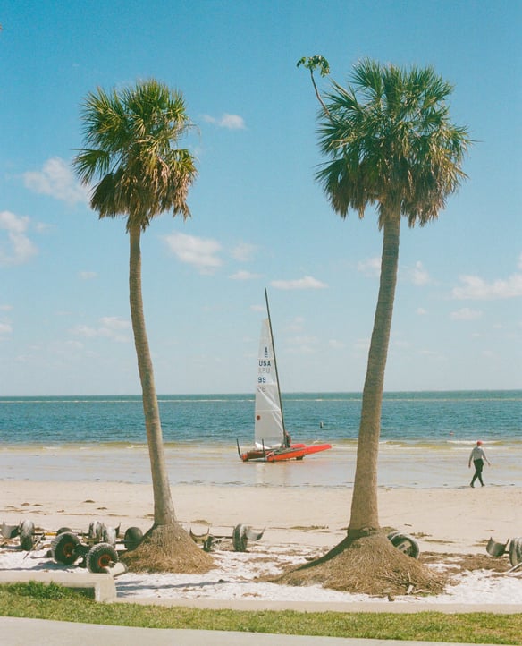 Sailing on Tampa Bay with palm trees in St. Petersburg Florida